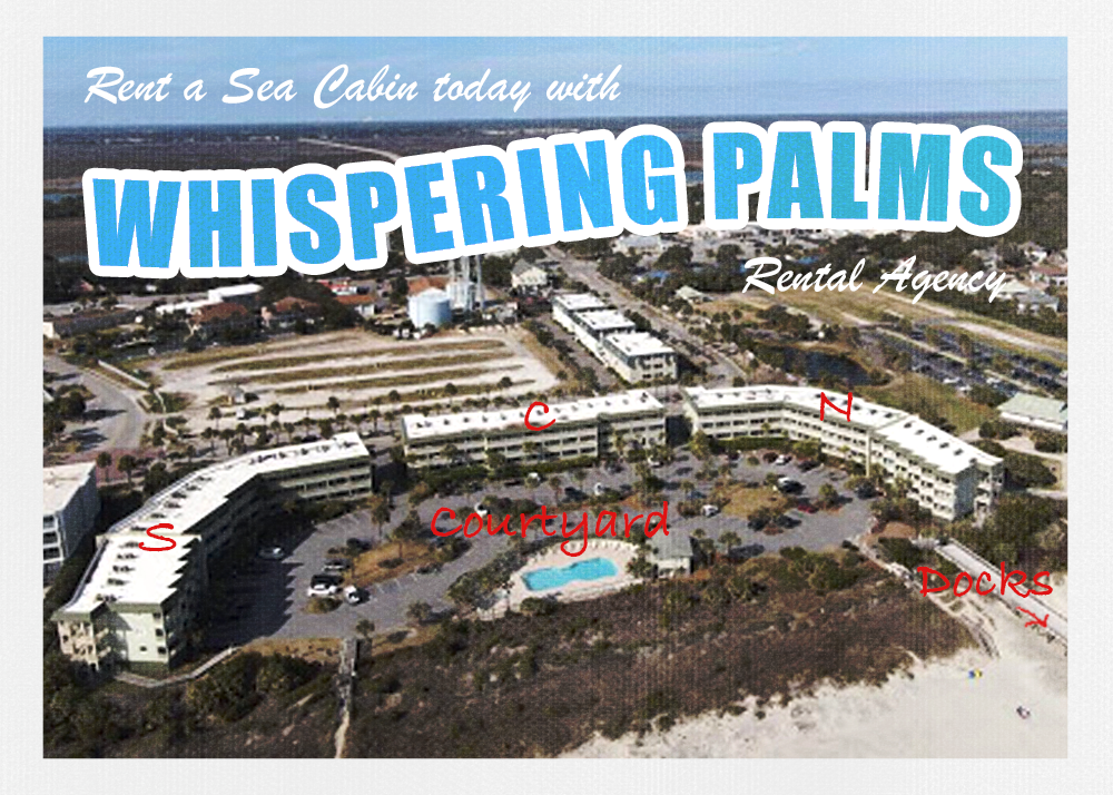 Whispering Palms Rentals Postcard